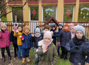 Pamiętamy o dokarmianiu ptaków zimą