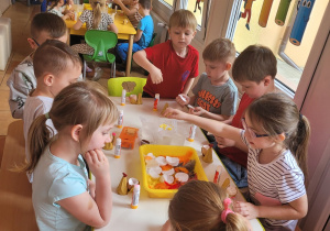 Zdjęcie 1 na 12