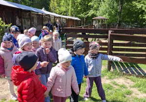 Zdjęcie 3 na 14