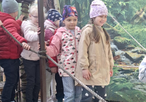 Zdjęcie 13 na 14