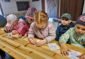 Zdjęcie 1 na 13