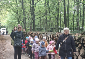 Dzieci z grupy "Misie" idą leśną ściezką