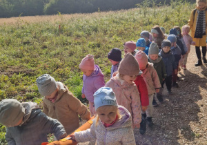 "Misie" maszerują przez las