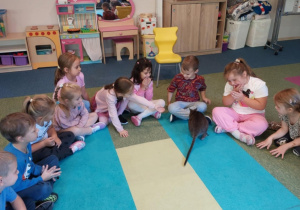 Dzieci słuchają ciekawostek nt. życia kangura