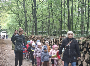 "Misie" na wycieczce w lesie w Raciborowie