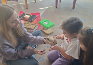 Dziewczynka głasze jeża