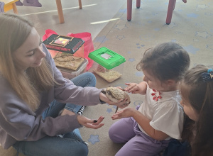 Spotkanie z jeżem i kameleonem