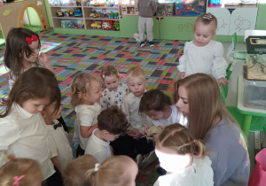 Dzieci z grupy "Kotki" oglądają z bliska jeża