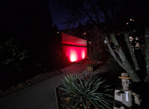 Udział w Ogólnopolskiej Kampanii "Dzieciństwo bez Przemocy"