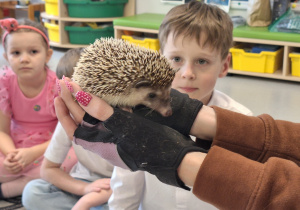 Dzieci z bliska oglądają jeża