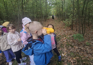 Chłopiec ogląda las przez lornetkę