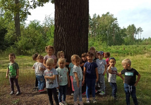 Dzieci z grupy "Misie" stoją przed wielkim drzewem w lesie