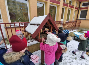 Dokarmiamy ptaki w okresie zimy